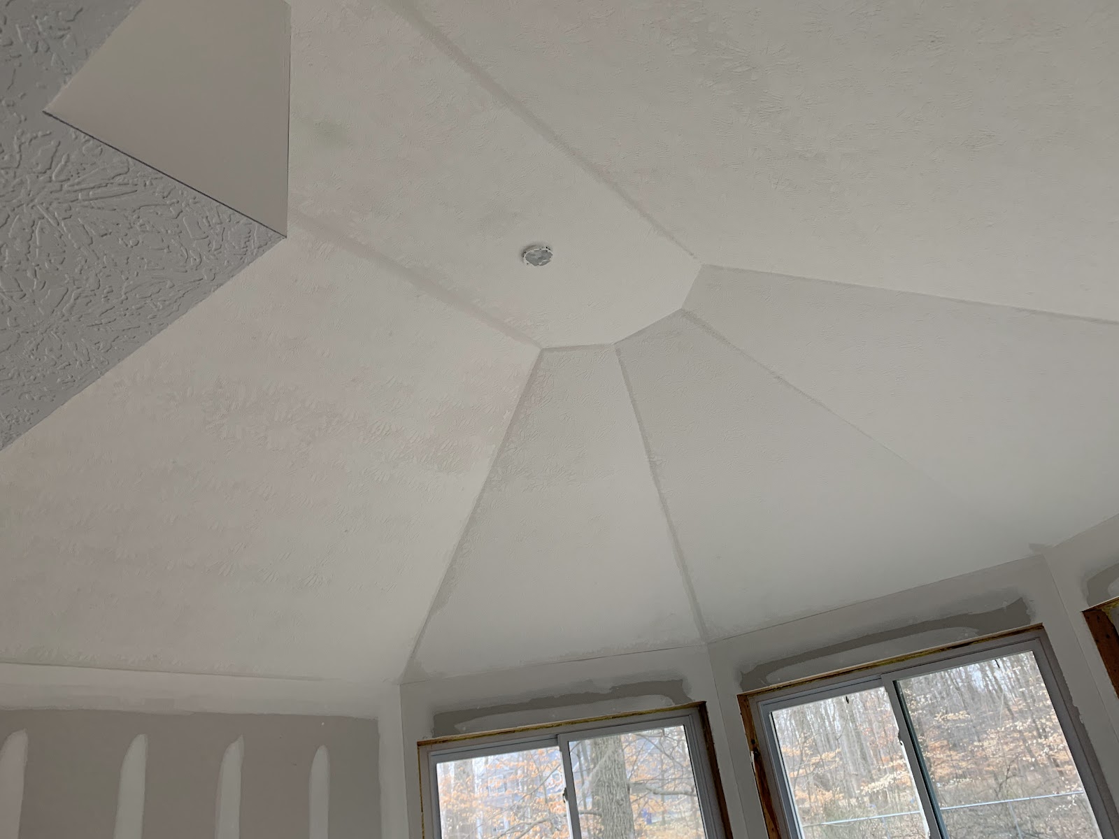 Vaulted & Custom Ceilings